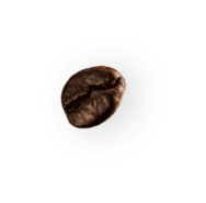 Demo Attachment 28 Coffee Beans P4mxyzd2 1 - Ericson Cardoso